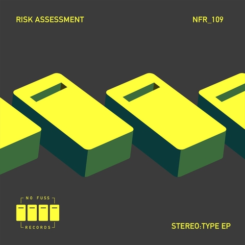 Risk Assessment - Stereo_Type EP [NFR109]